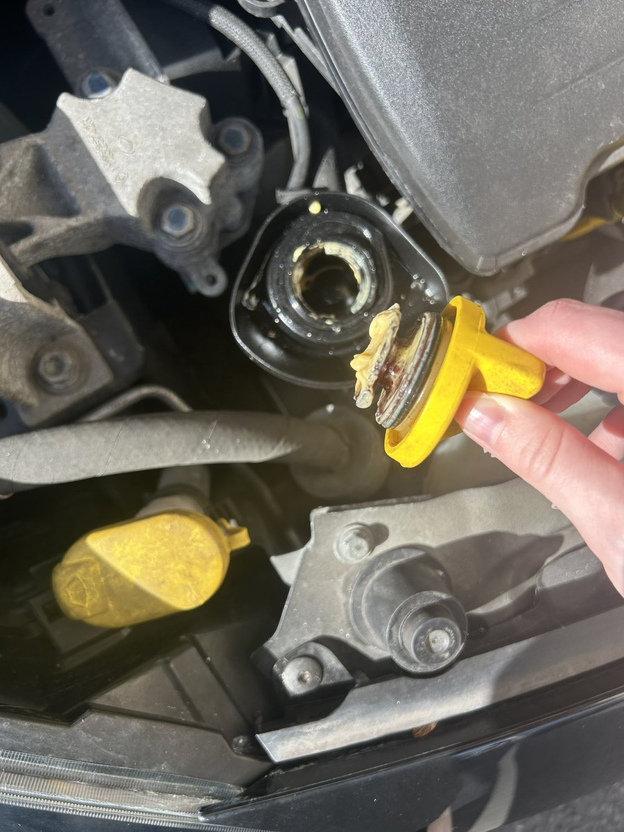 isaure ཐི༏ཋྀ󠀮 tweet media