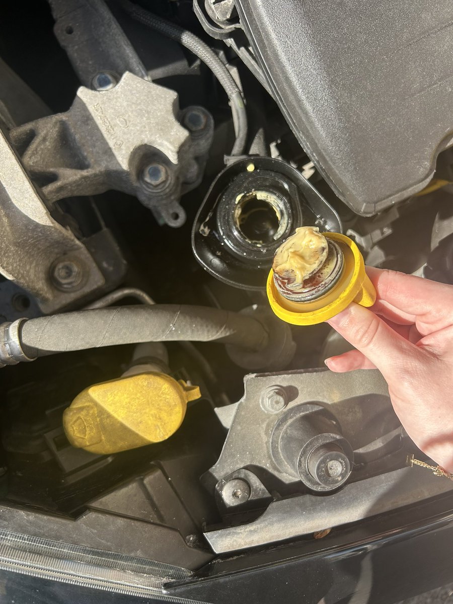 isaure ཐི༏ཋྀ󠀮 tweet media