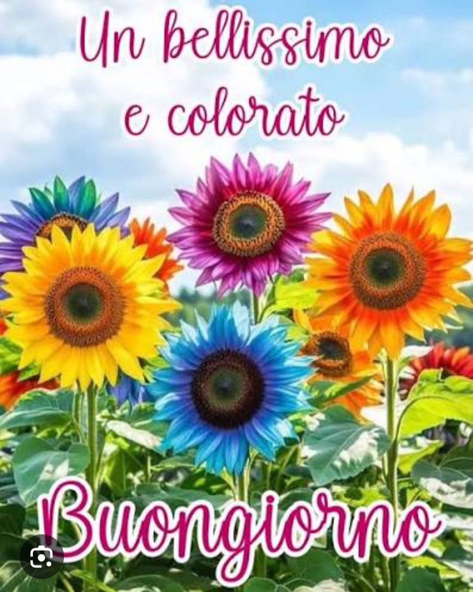 Roberta Dal Pra tweet media