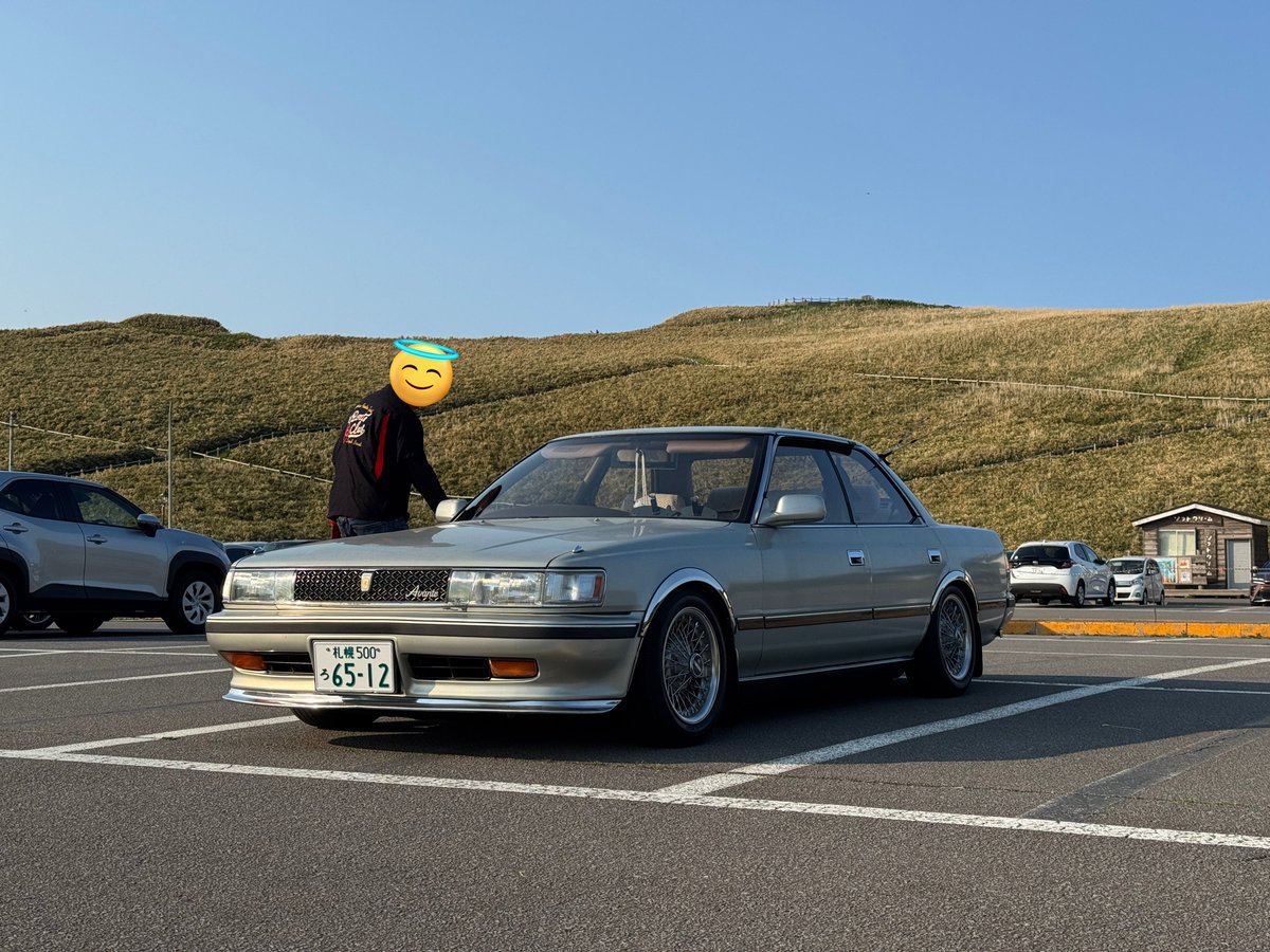乗りたい定期