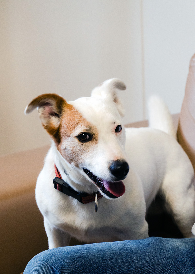 Universidad de Cantabria tweet media