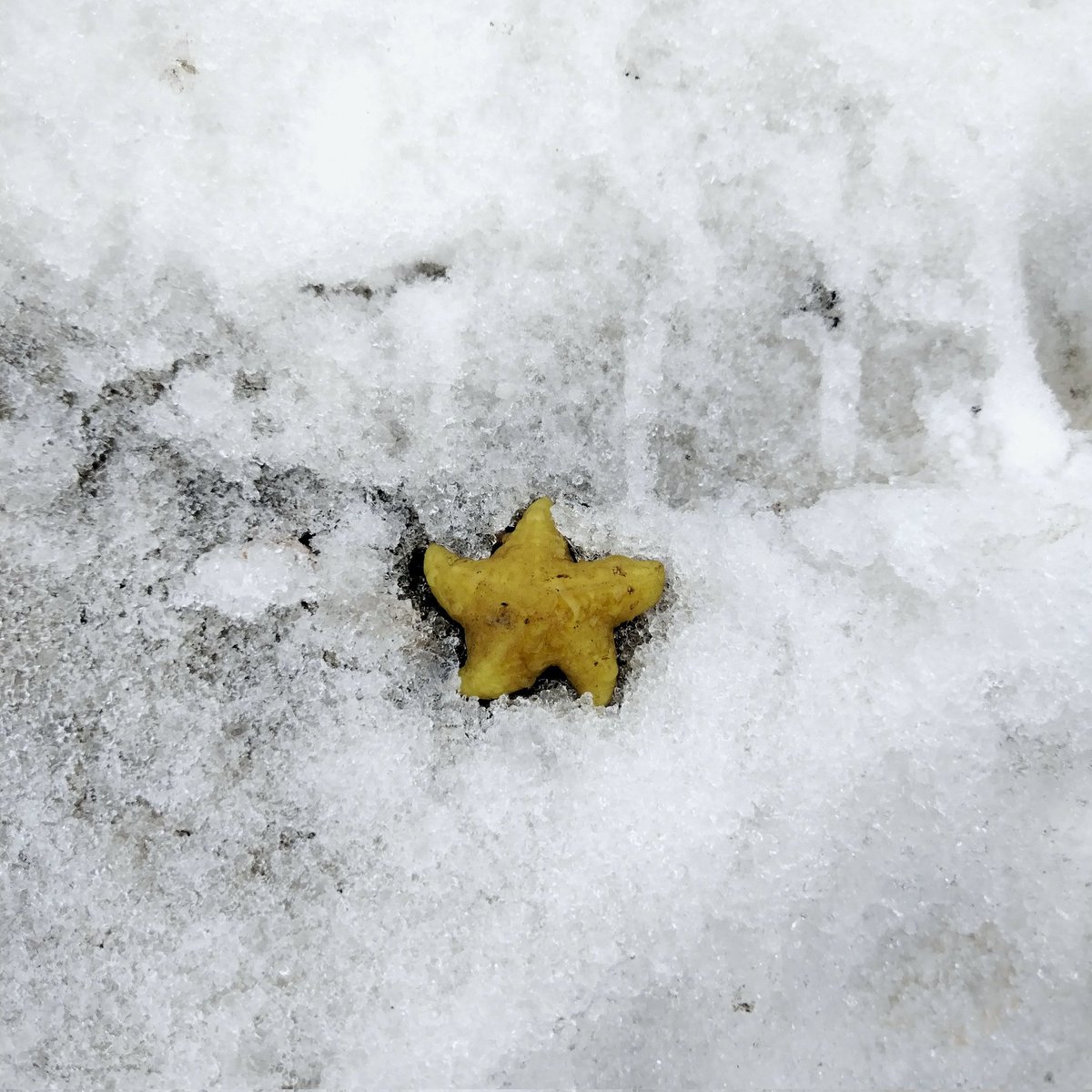 Чайник со свистком tweet media