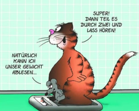 Hallo🇩🇪🇦🇹🇨🇭Patrioten #GPN🇩🇪
(Neu)FollowerAuswahl🤝/837
#VernetzenStattHetzen
<a href="/stefan93333/">stefan93333</a>
<a href="/Sunflower130313/">Birgit</a>
<a href="/Paule388421/">Paule</a>
<a href="/NESLink1986/">Sven</a>
^^^^^
<a href="/Anti_Krieg/">Anti Krieg 🇩🇪</a>
<a href="/Jaimo38071664/">Jaimo</a> 
<a href="/HeikeBoudica/">Heike, Lumpenpazifistin 🇩🇪🕊️</a> 
<a href="/reu_ramona96027/">Ramona</a>
#MGGA #MAGA🇩🇪🤝🇺🇲
#Follow4Follow💯
#SupportSmallAccounts