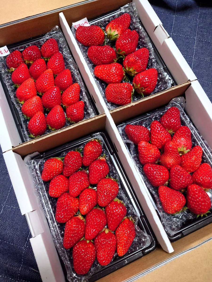 taka1329195064's tweet photo. 🍓きたー!😊
#BONGOLF
#BONFarm https://t.co/huccZQyYpz