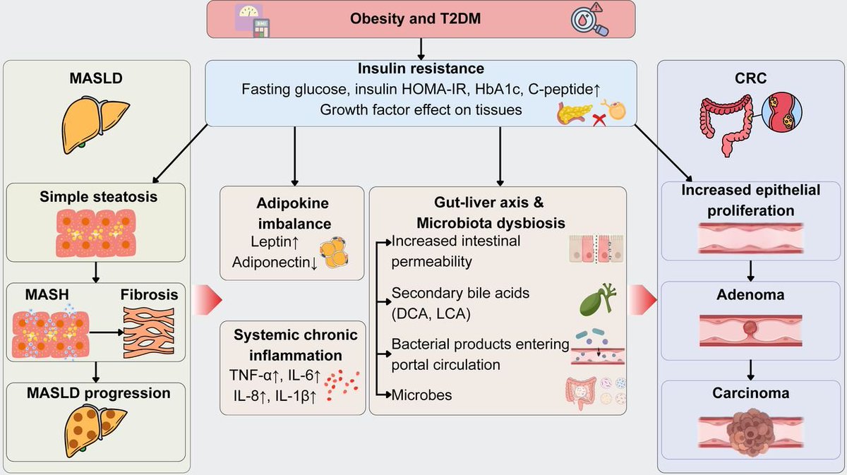 Giada Sebastiani tweet media