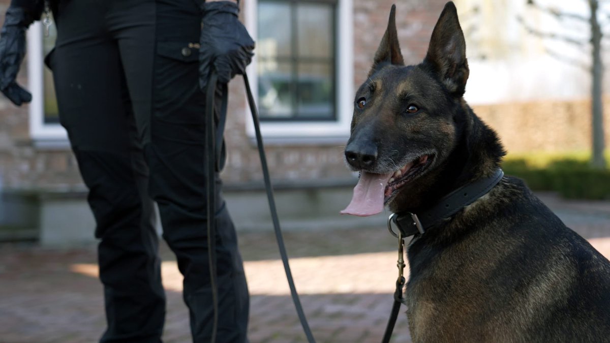 Politie Landelijke Opsporing en Interventies tweet media