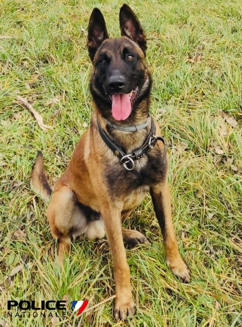 Police Nationale 31 tweet media