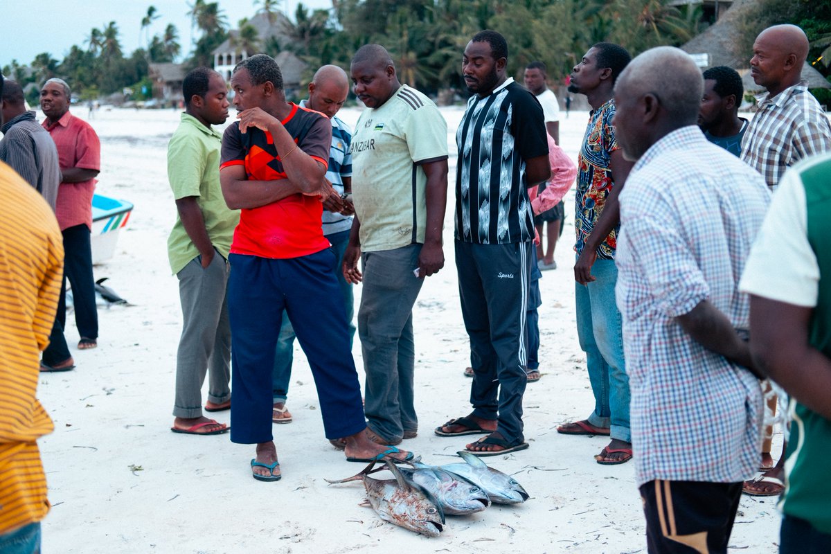 ColdBrewStew's tweet photo. Trading on Matemwe beach
#zanzibar #matemwe #tanzania #fujifilm #fujifeed #fujixseries https://t.co/AjL0fouq2l