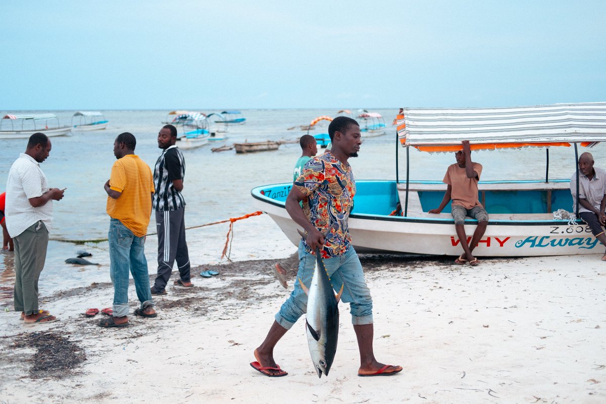 ColdBrewStew's tweet photo. Trading on Matemwe beach
#zanzibar #matemwe #tanzania #fujifilm #fujifeed #fujixseries https://t.co/AjL0fouq2l
