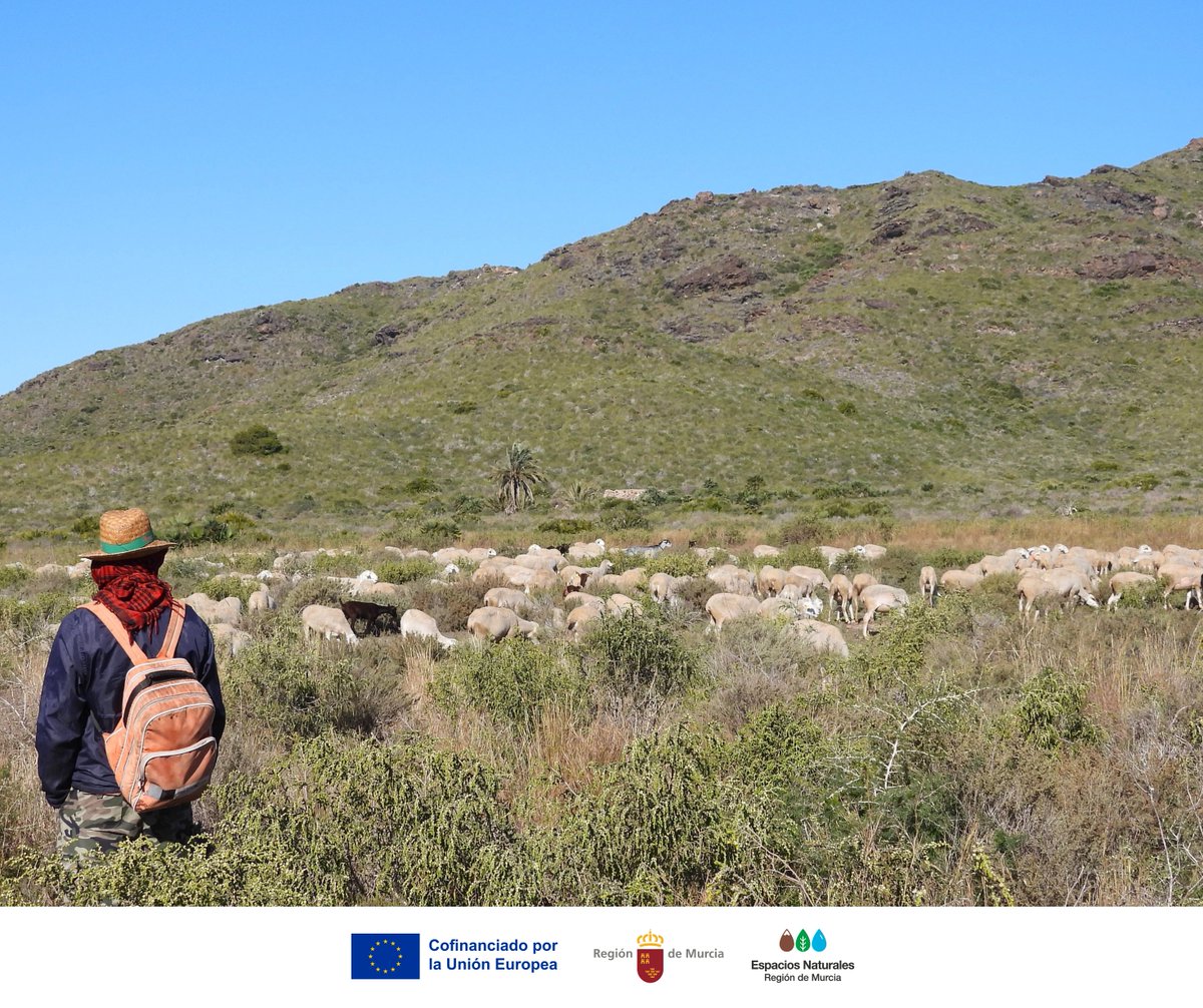 Parque Regional de Calblanque tweet media