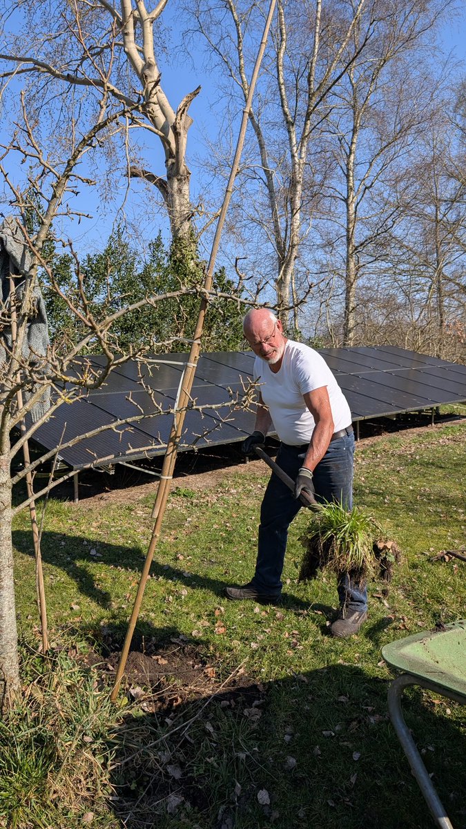 smeerlingantiek's tweet photo. #moestuin en ruim 30 #fruitbomen.
Jaarlijks snoeien en boomring vrijmaken van gras etc. Wilde bloemen laat ik staan.
Kalk en oude paardenmest erbij, en dan doet de #natuur de rest.
Wel ien de mouw hemd.
Man man man, zwait veur de kop.
Straks gait de koorde boksum aan. https://t.co/ZJmy4NupaE