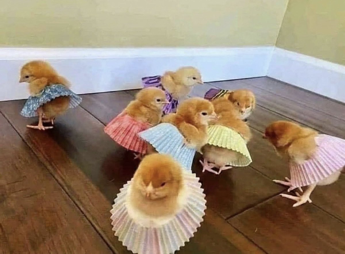 Good Morning!  To start your day off right, here is a pic of some topless chicks in short skirts