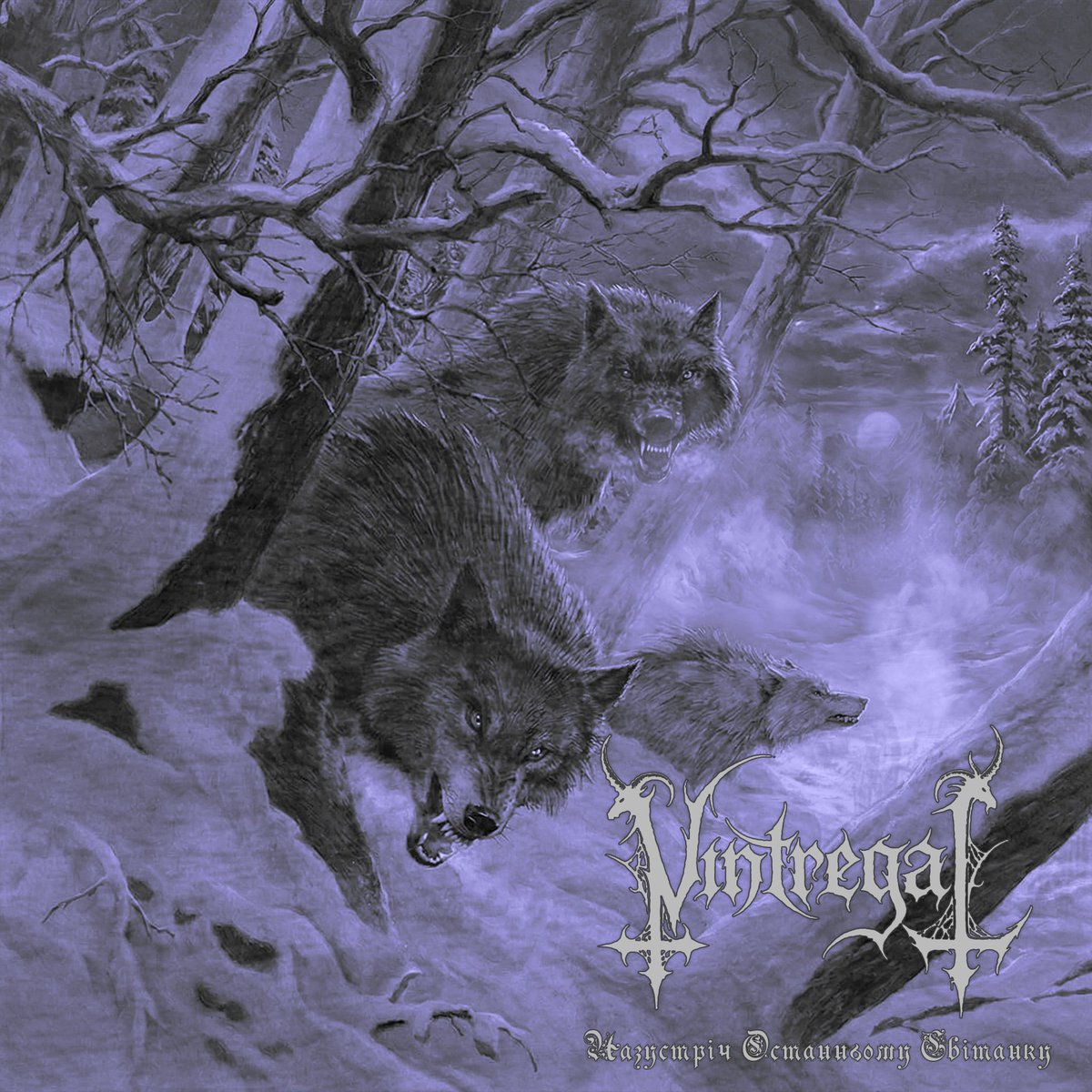 Black Metal Promotion tweet media