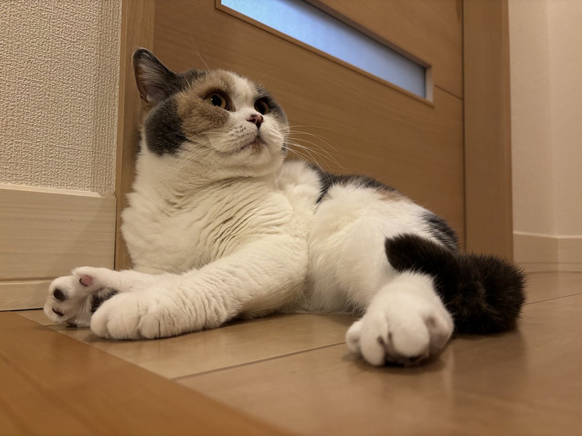 uuu-suke tweet media