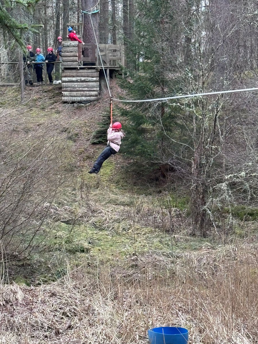 Fair Isle Primary School tweet media