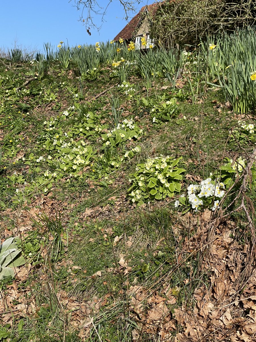 JM Simpson (Jo) Castleby & Whistlers Peak Series. tweet media