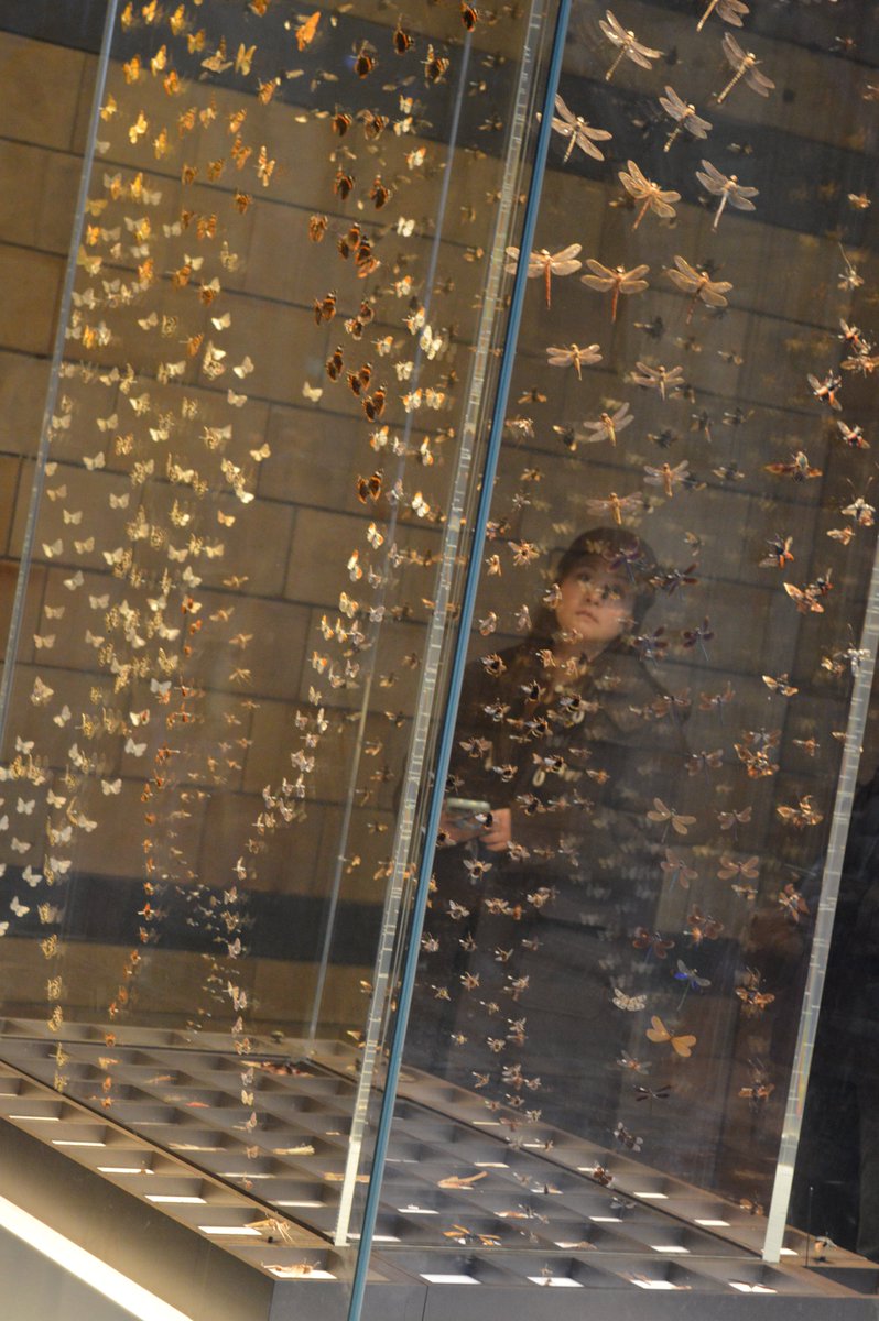 StokeDamerelCC's tweet photo. 🎨 Our Year 10–13 Visual Arts students had an inspiring day in London, visiting the V&amp;A and Natural History Museums! 🏛️

Quinn said, “Seeing the artwork and architecture in real life has given me so many new ideas for my project.” ✨
#VisualArts #ArtTrip #Inspiration https://t.co/mWKmzz5Ytu