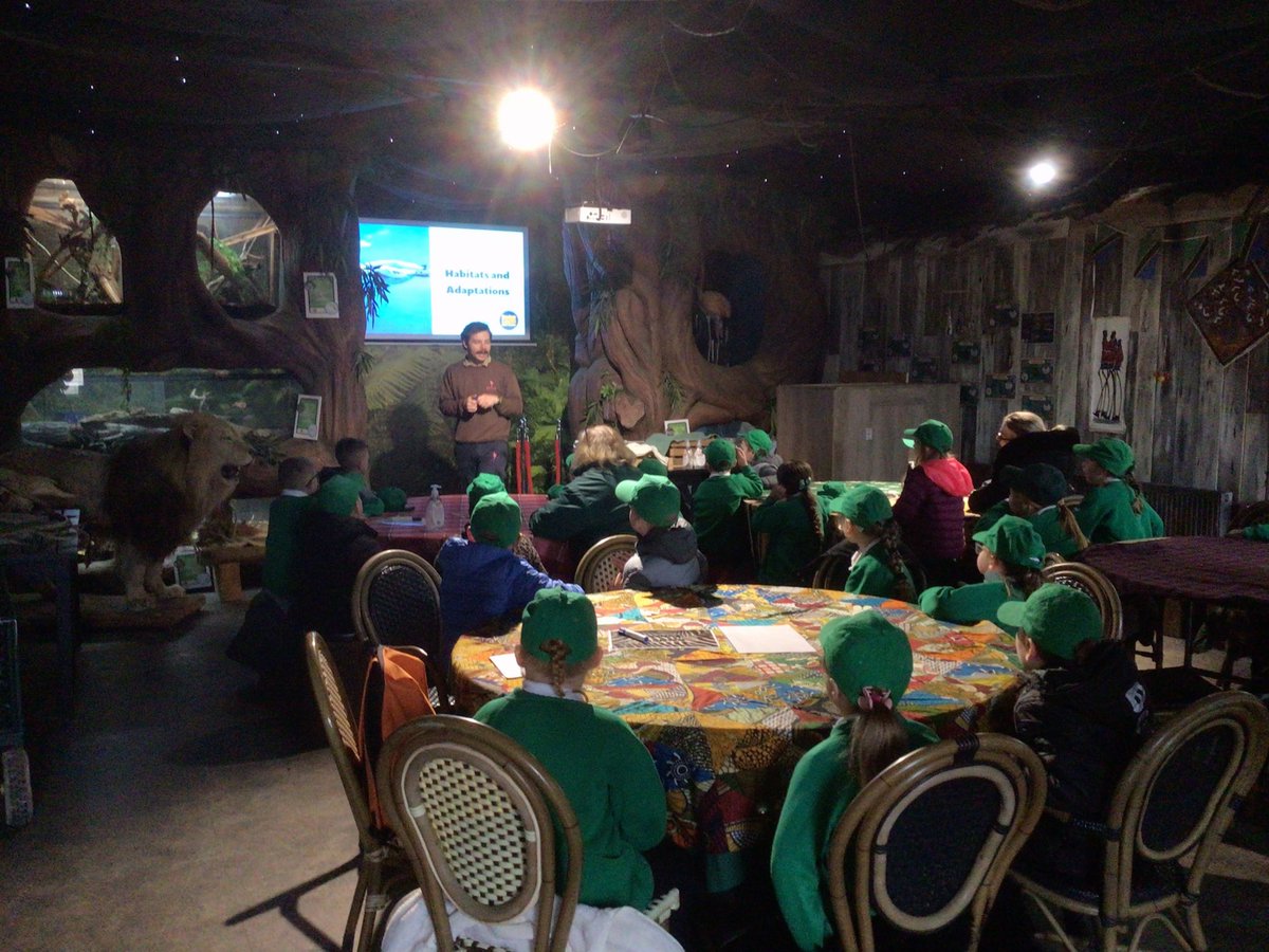 @CaldiY2 tweet media