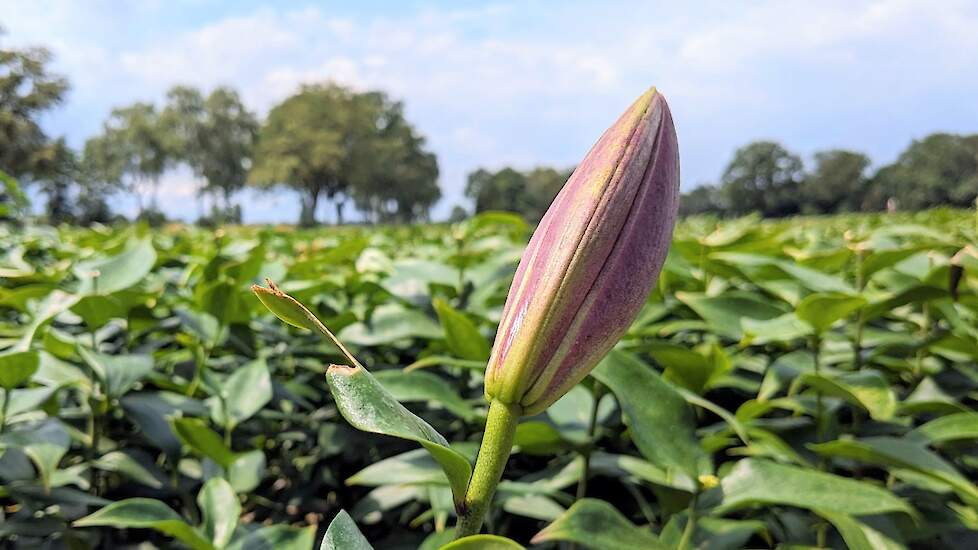 Akkerwijzer.nl tweet media