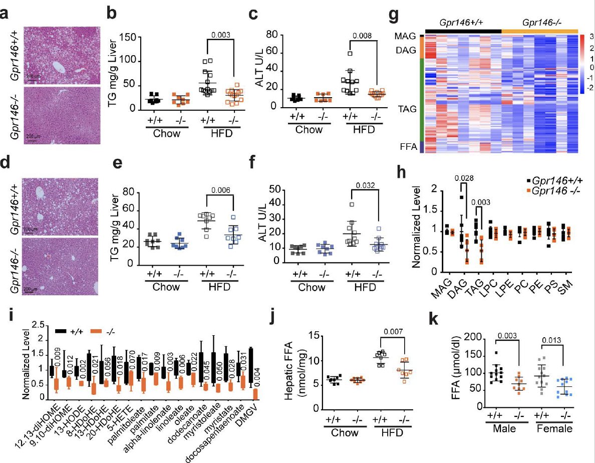Bruno Ramos-Molina, PhD tweet media