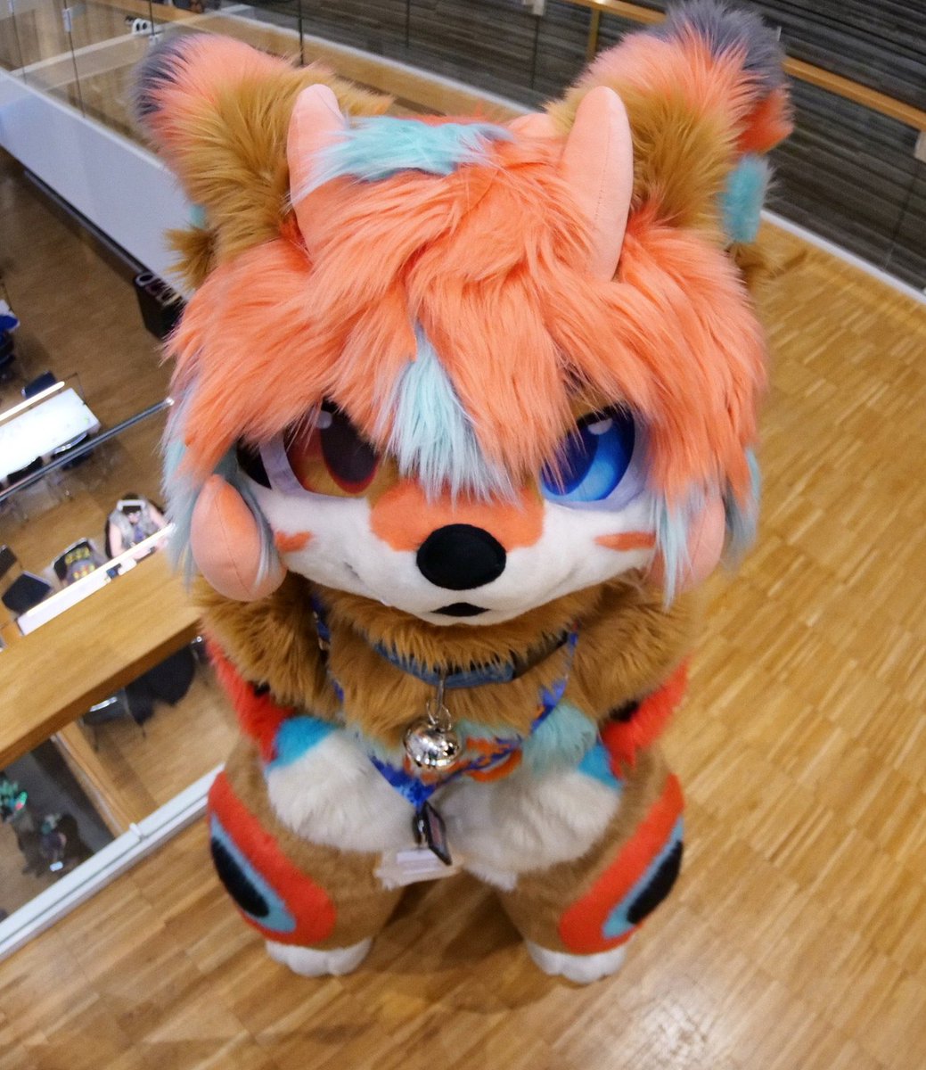 Tokiinu時犬🔜EF tweet media