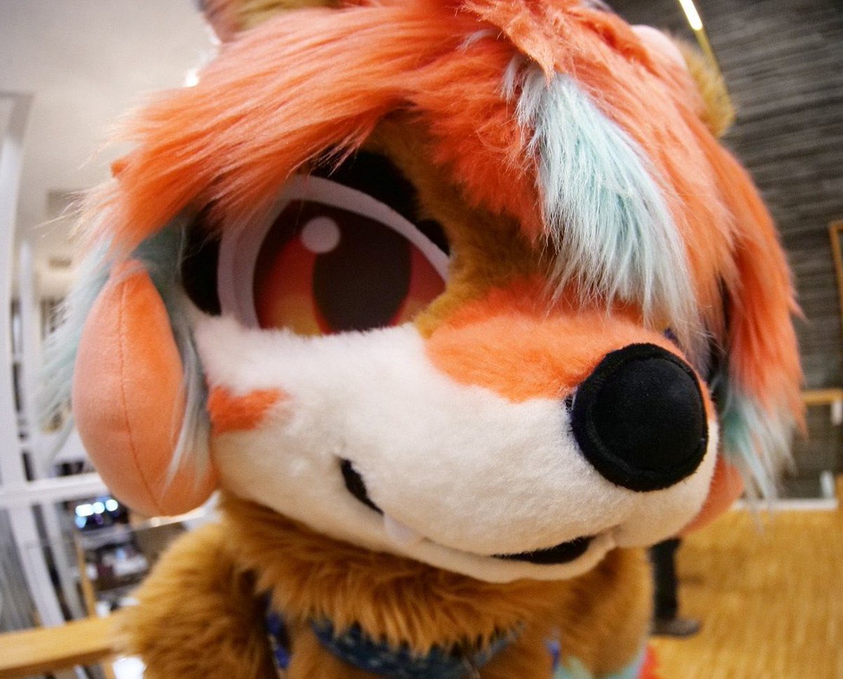 Tokiinu時犬🔜EF tweet media