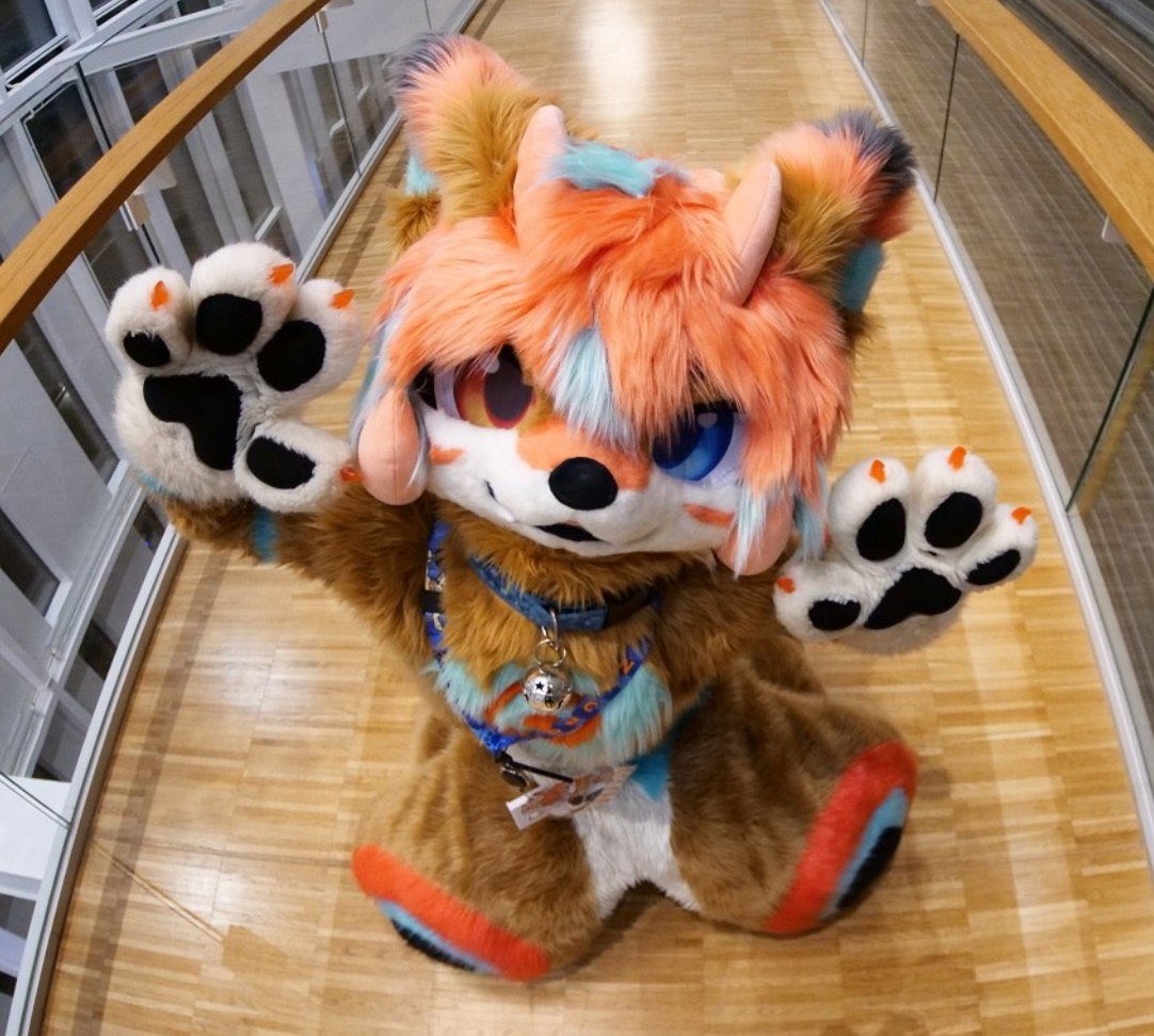 Tokiinu時犬🔜EF tweet media