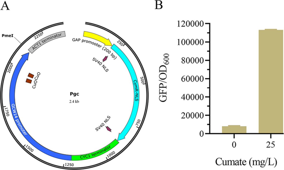Microbial Biotechnology (MBT) tweet media