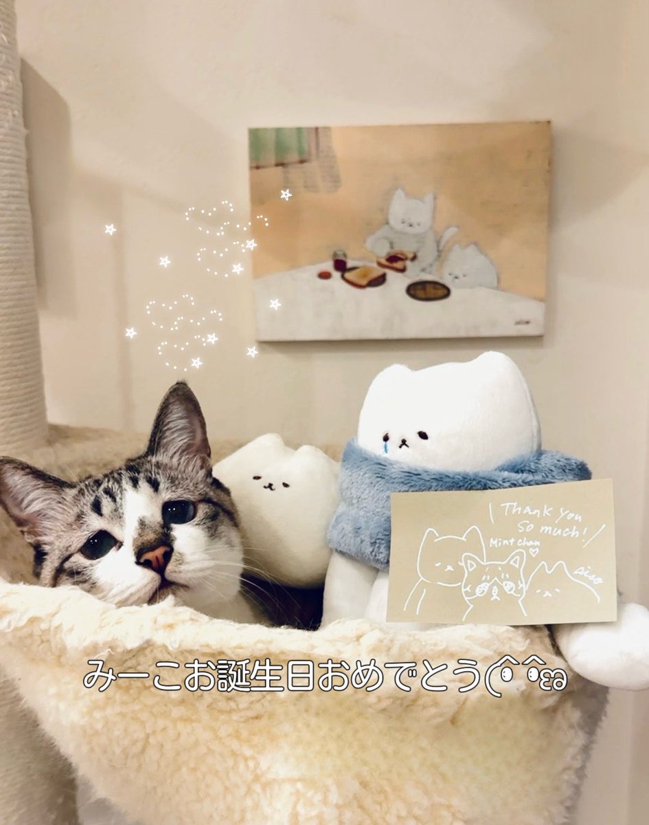ぴえん猫ミント (@piennekomint) / Posts / X
