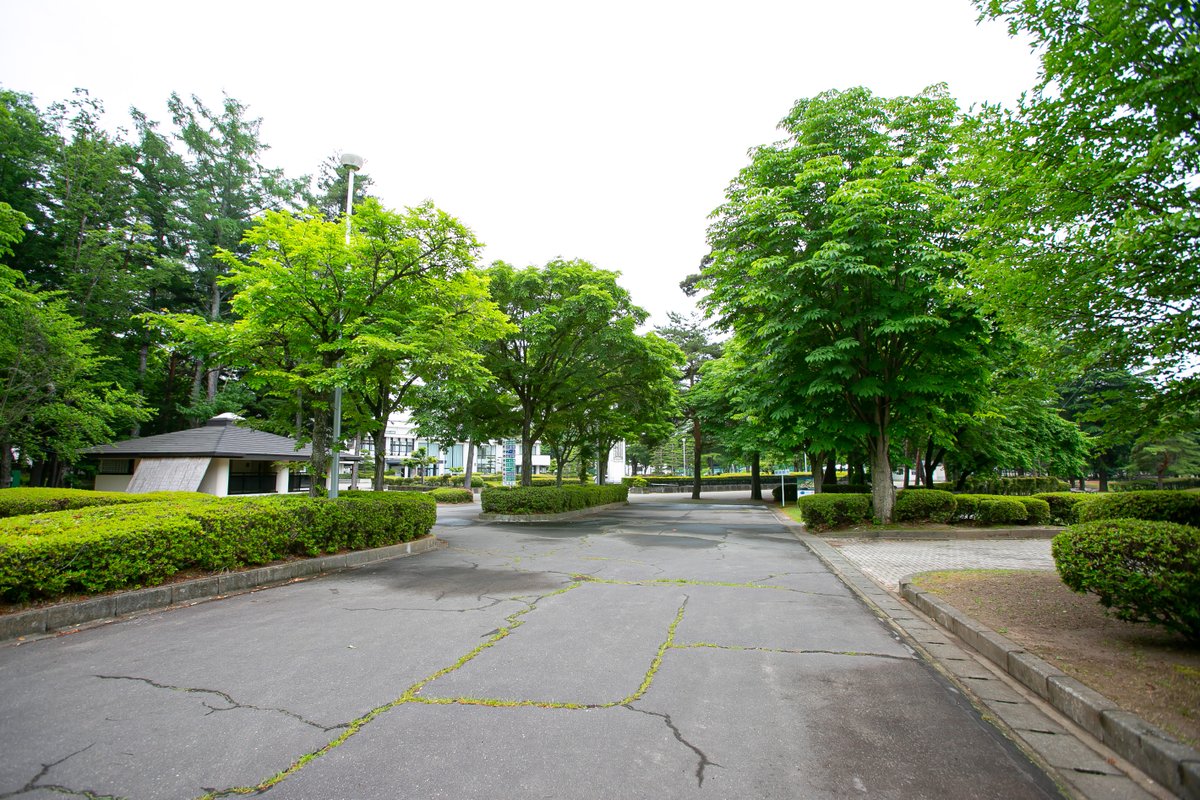 コスライ tweet media