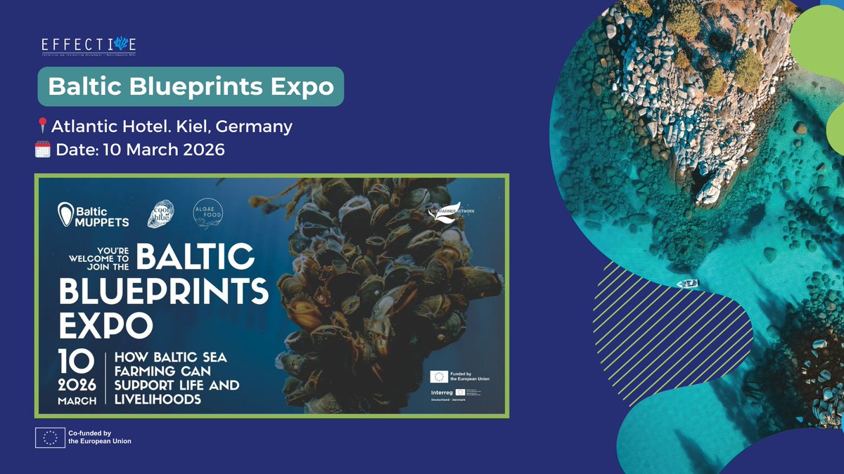 EFFECTIVE-Project tweet media