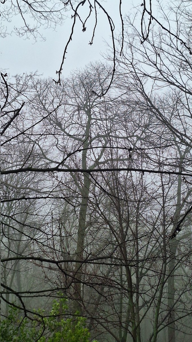 Otra mañana en Granada