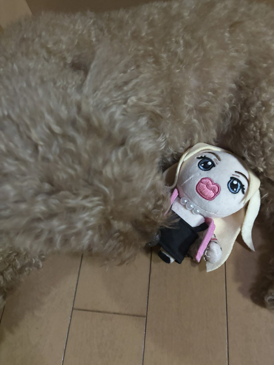 アレン様が産んでくださった子ガｷとのmemory…✨✨✨✨