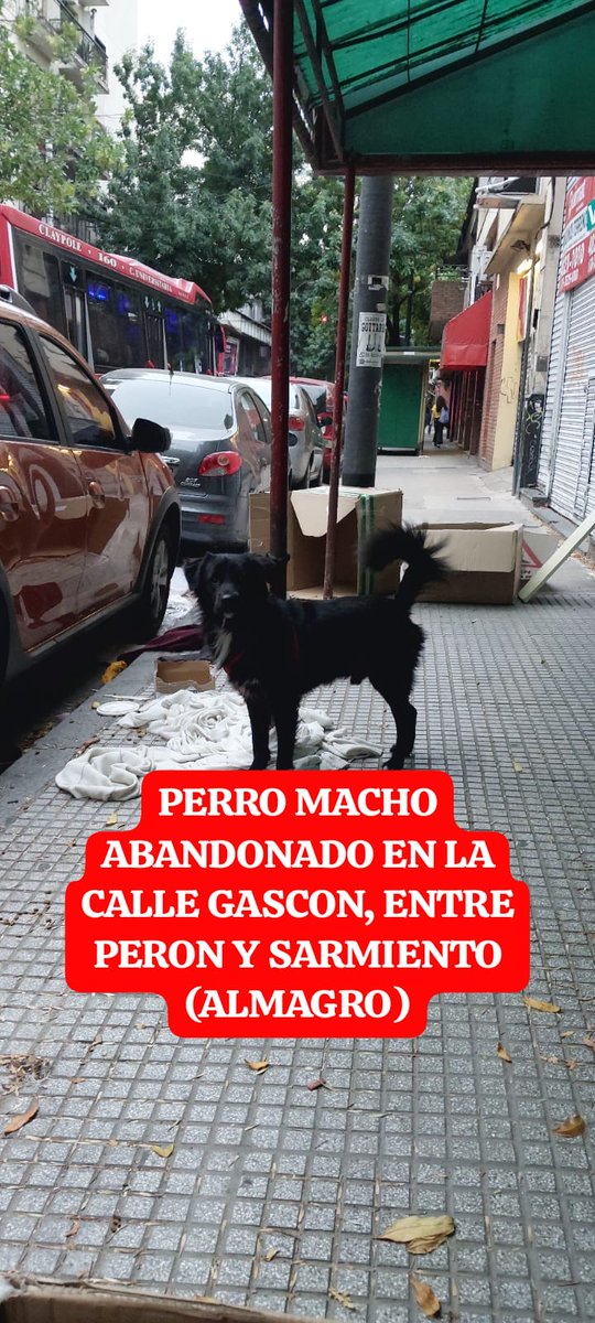 Algún vecino q se apiades vecinos
CABA. Abrir la imagen