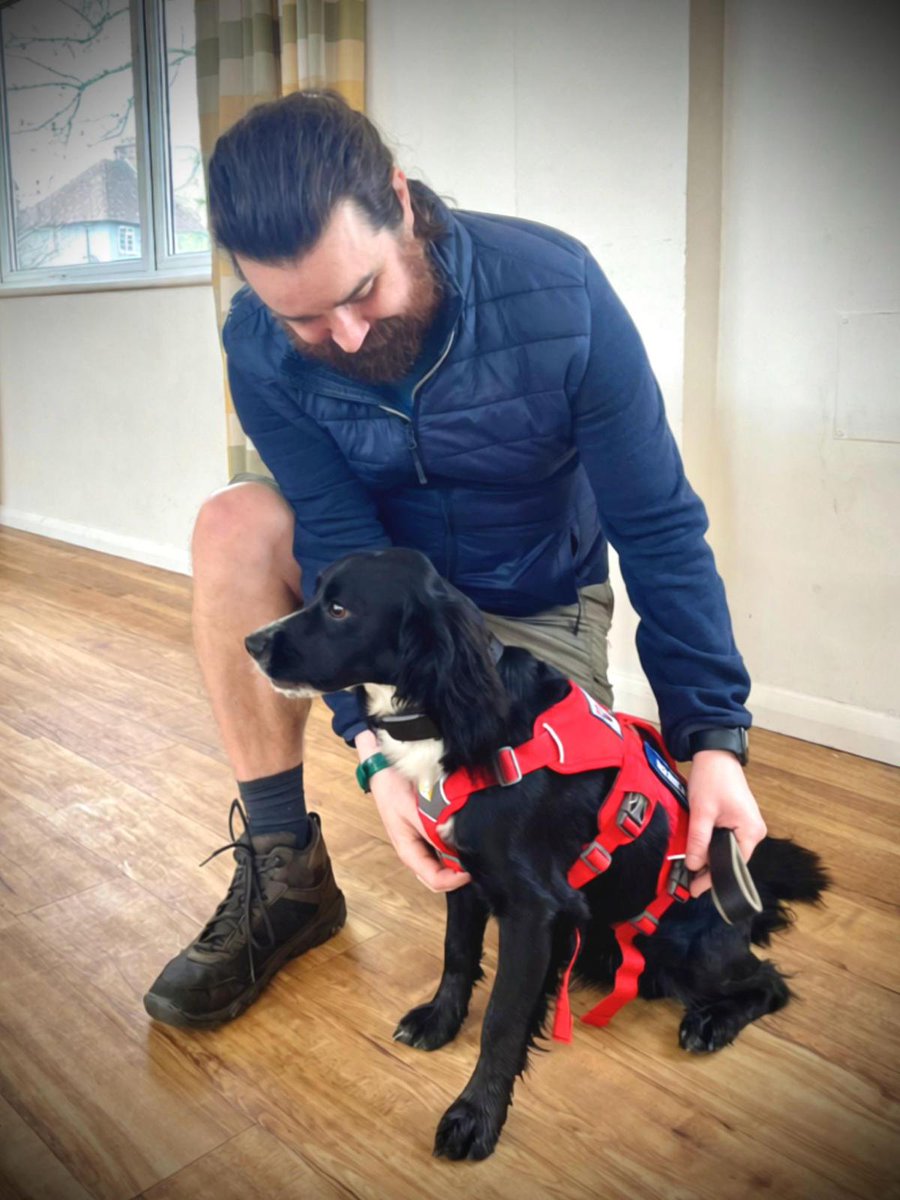 ServiceDogsUK tweet media