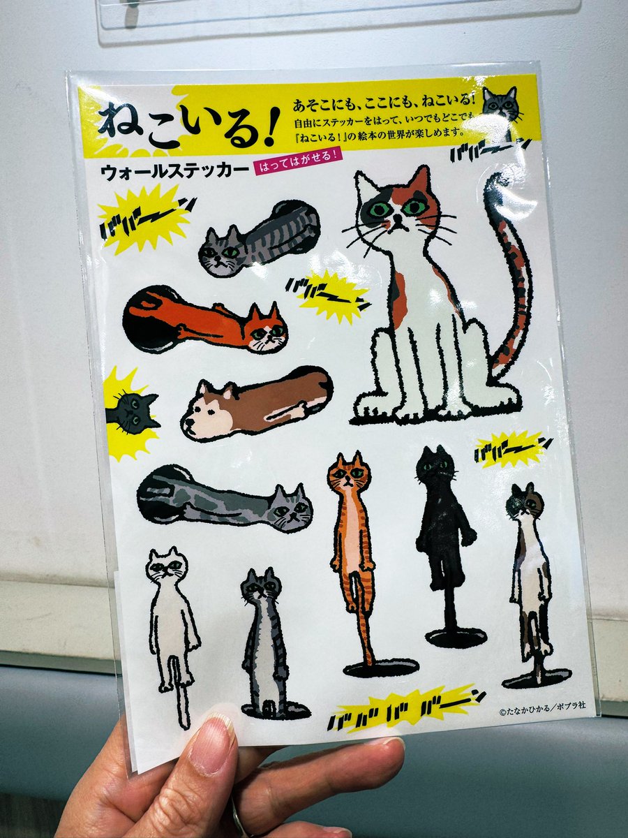 無事ゲットしました。
会社のパソコンに貼って、上司を撹乱しようと思います。

#かっぱ寿司 #ねこいる