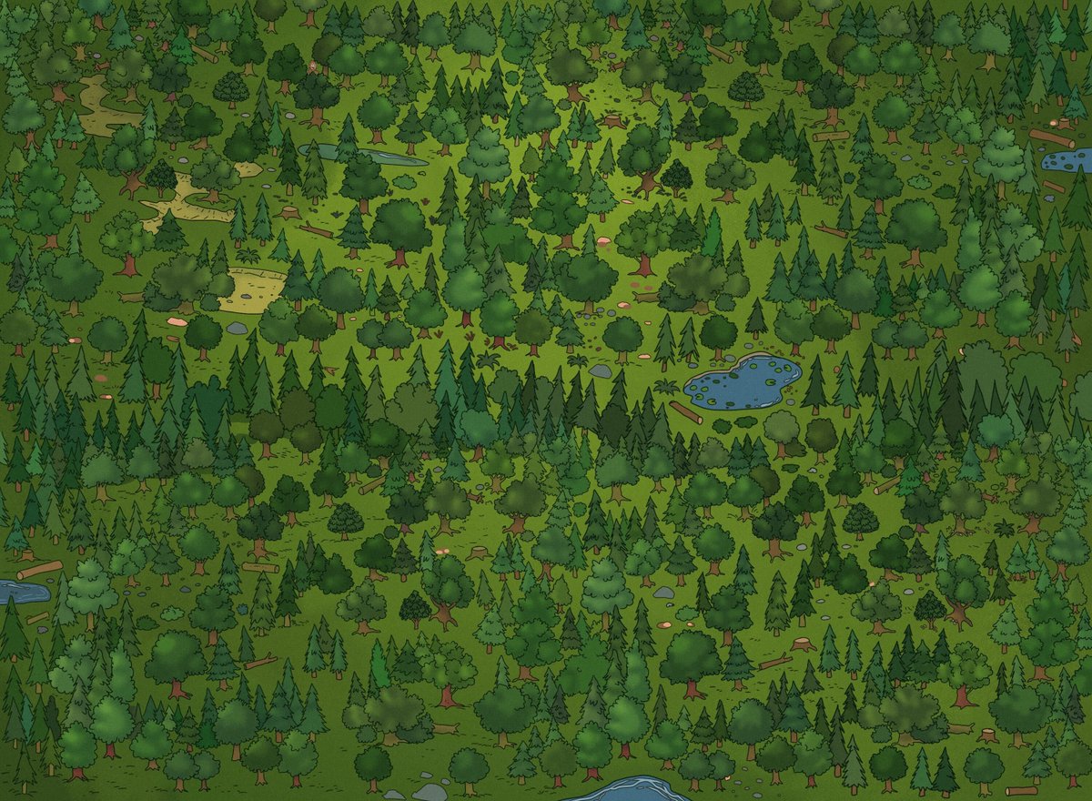 First to find Sassy wins nothing.