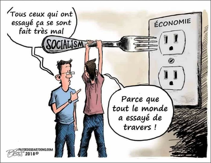 Ze Fisch tweet media