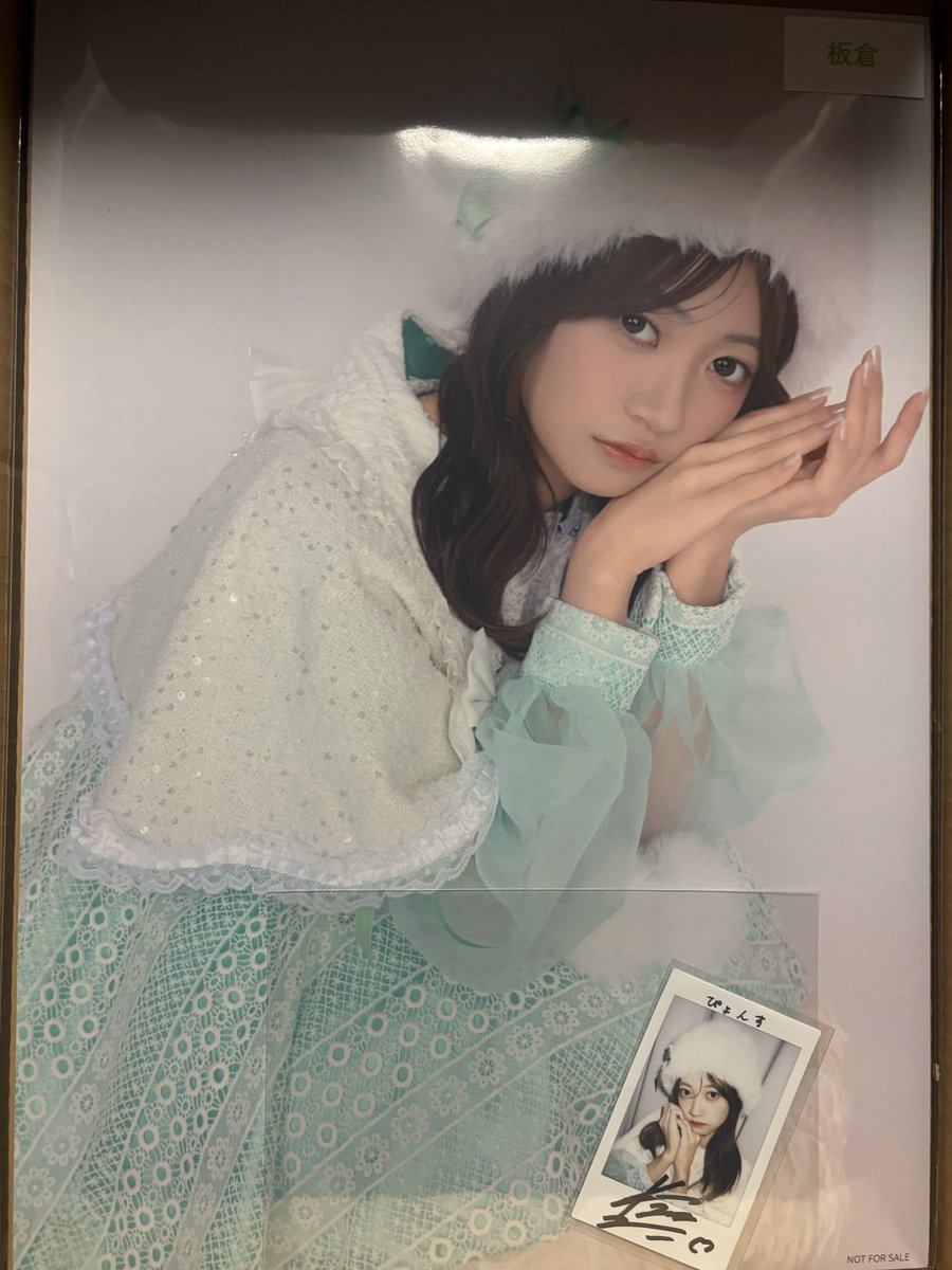 ぴょんす🐰💫 (@Pyons_pyonpyon) / Posts / X