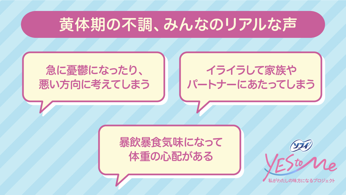 ソフィ tweet media