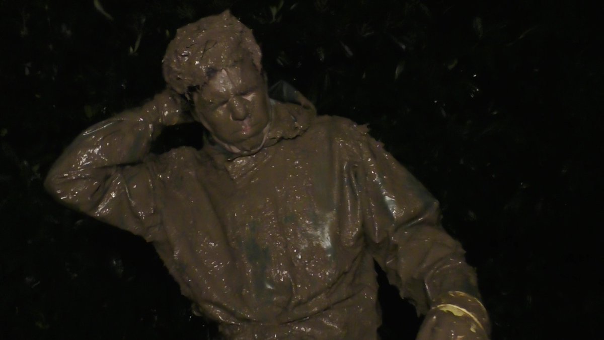 LiquidX Customs tweet media