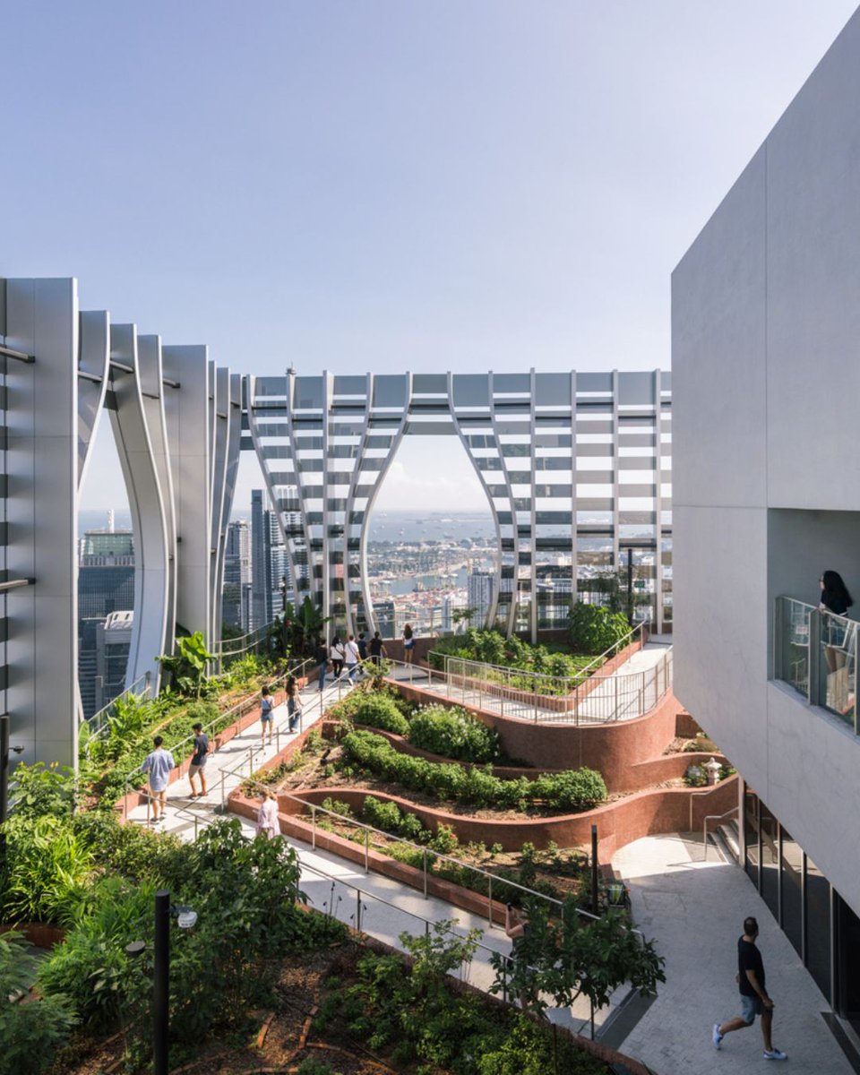 illustrarch • Architecture & Design tweet media