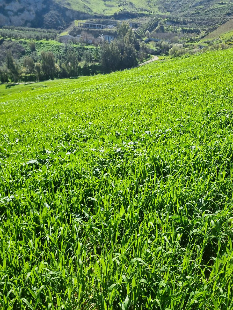 edibbhasan's tweet photo. Ziraat ile meşgul isen dağ bayır gezilmeli... https://t.co/4IIlTMCPMp