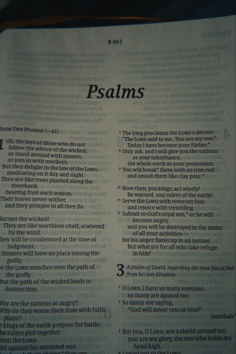 Buen día mundo mundial