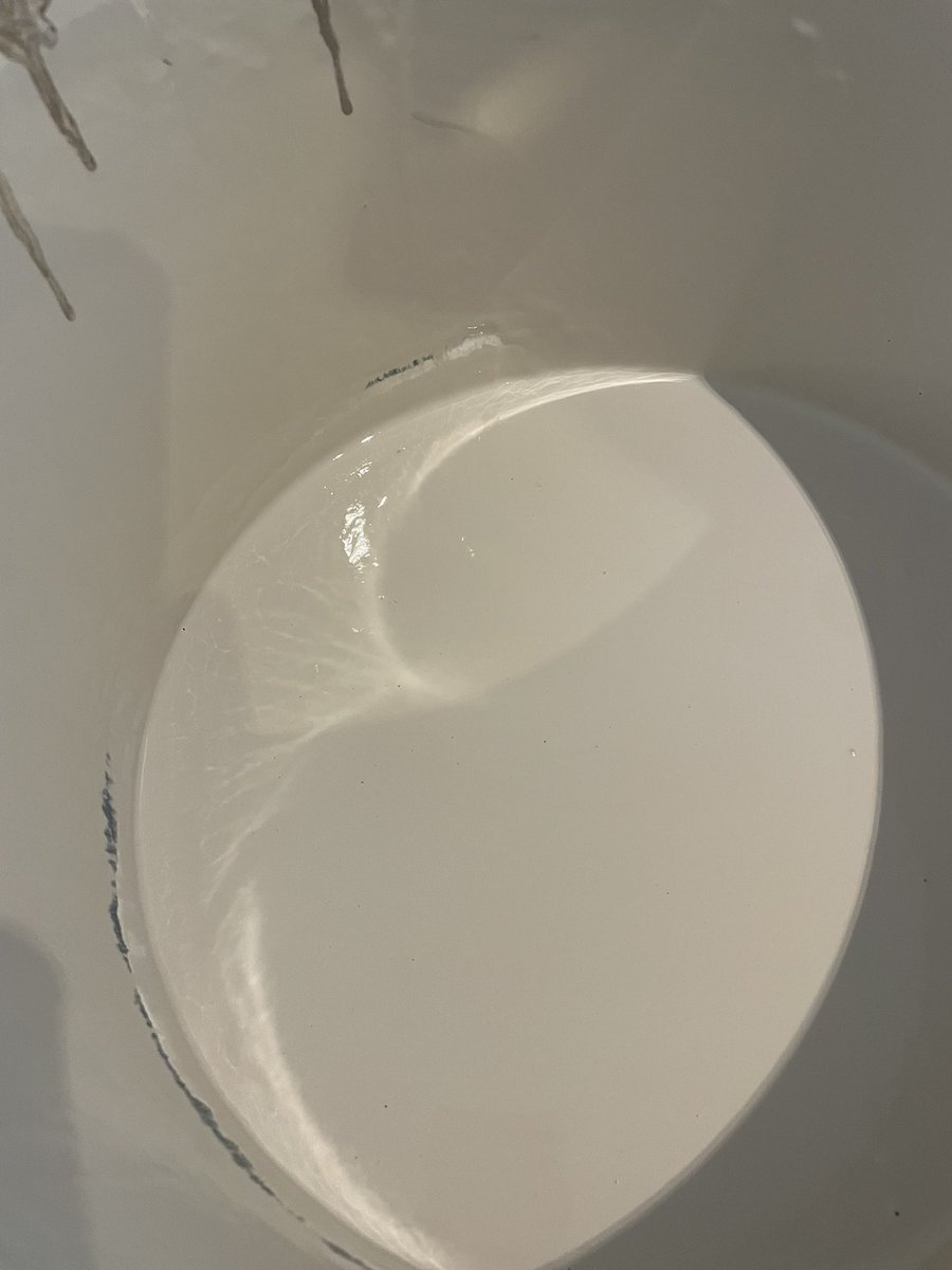 The Alpine Painter tweet media