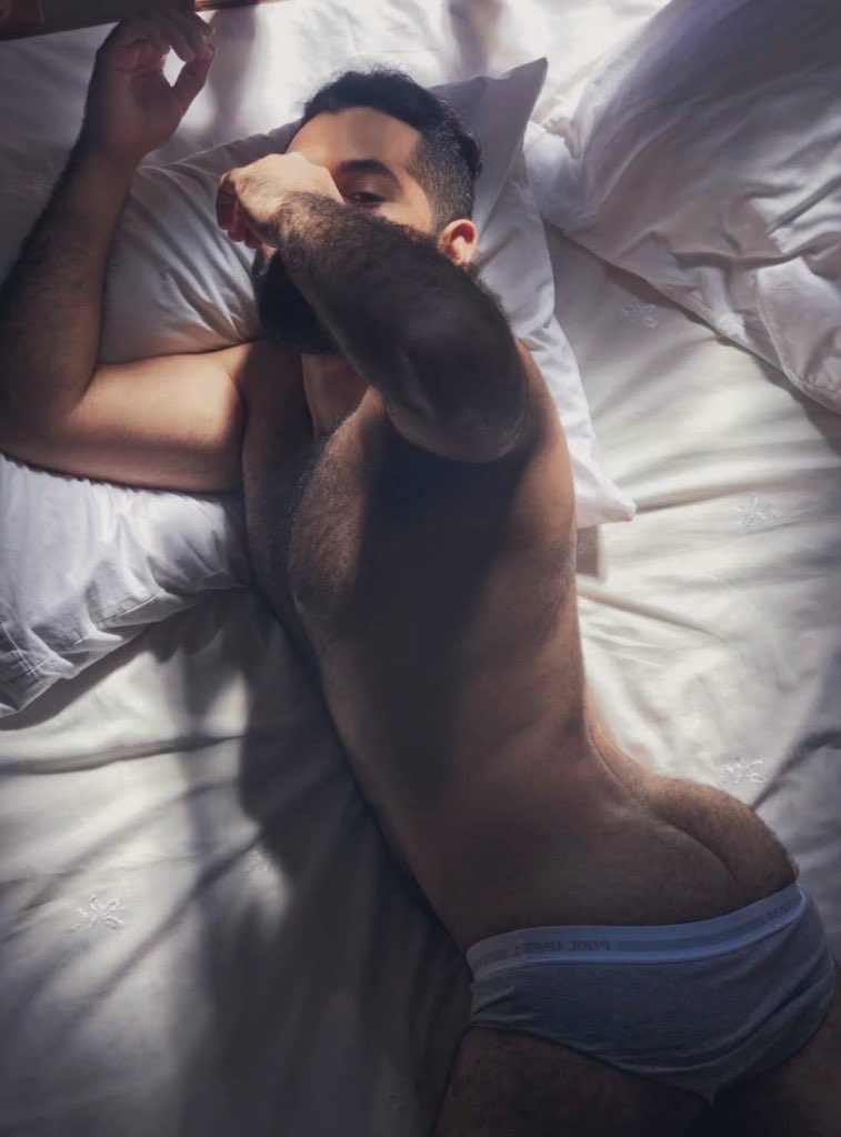 ursinho pimpão tweet media