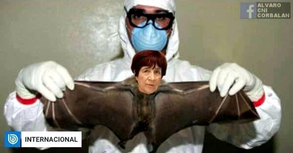 dgalarce's tweet photo. @carmen_hertz
#NoMasHertz https://t.co/AEiC0w4ZPP