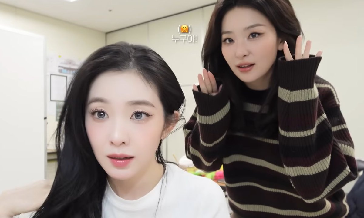 seulgi archive tweet media
