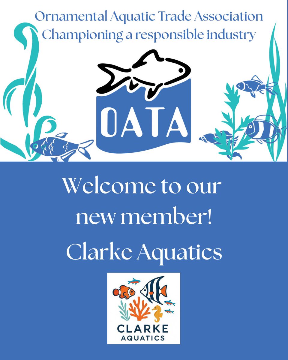 OATA Ltd tweet media