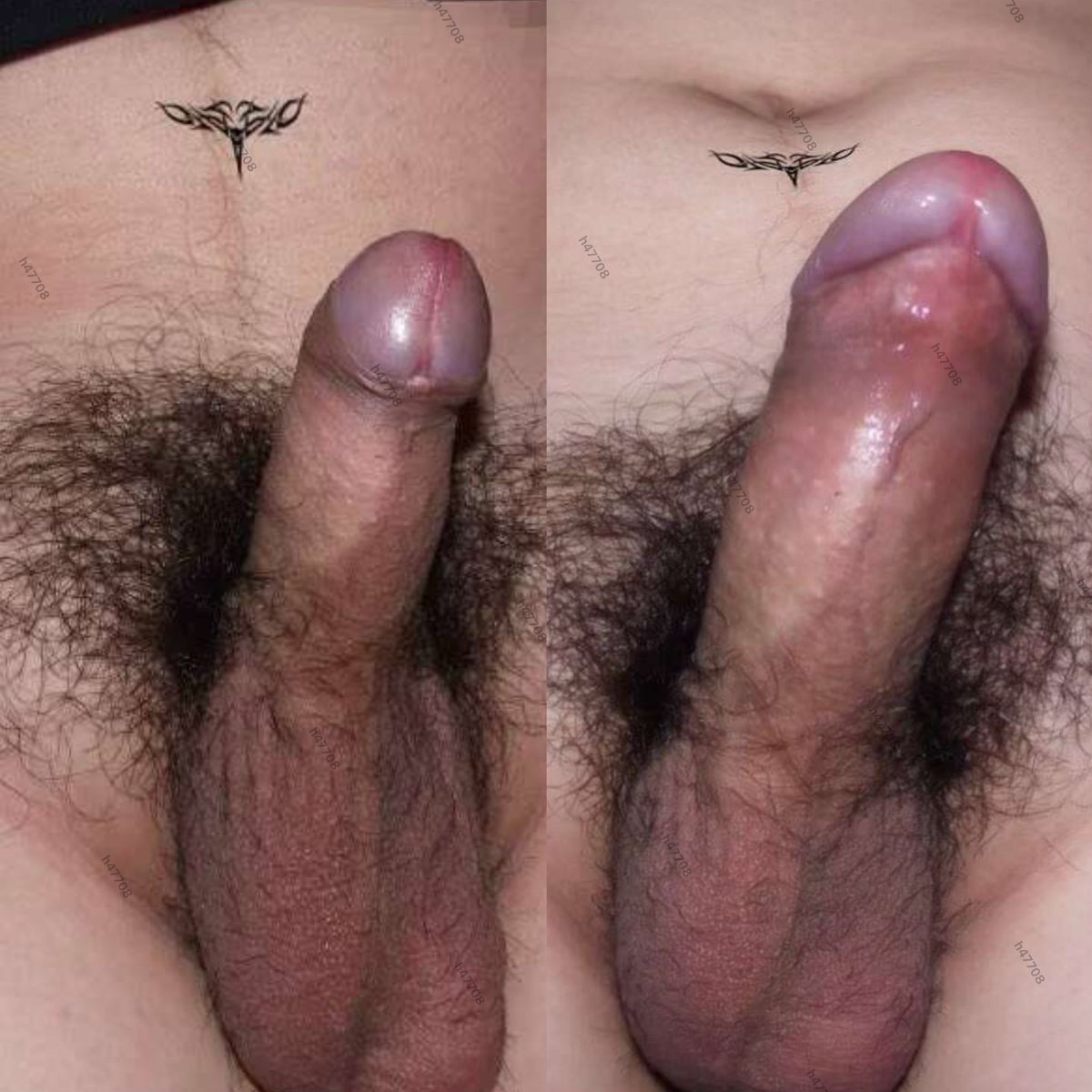 威猛先生🧑‍🏫 tweet media